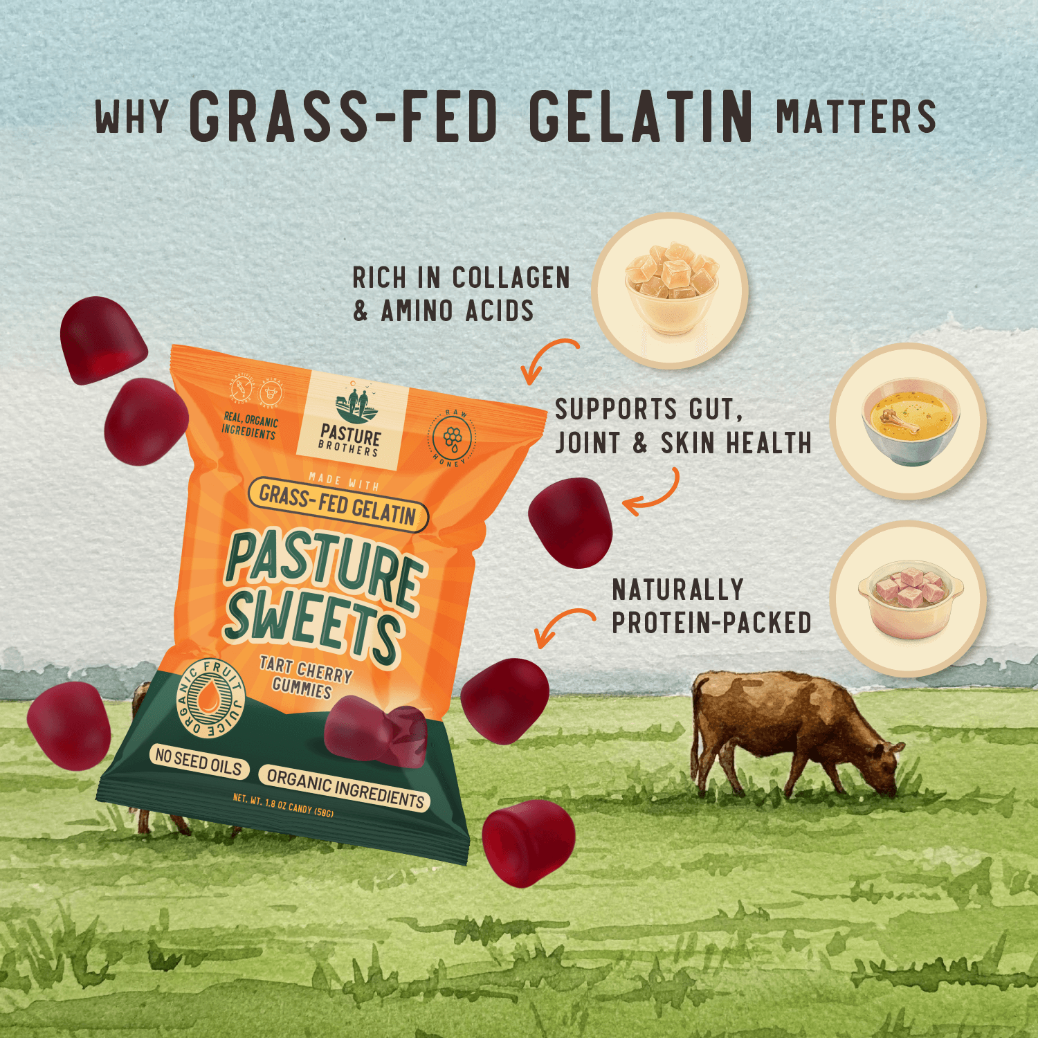 Pasture Sweets - Grass-Fed Gelatin Gummies