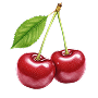 Tart Cherry / 5-Pack